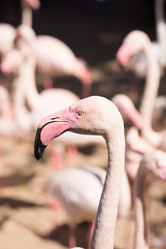 Similar image 13283123