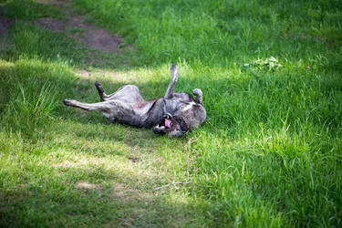 Similar image 13283127