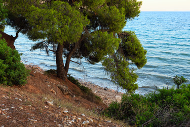 Similar image 13282153