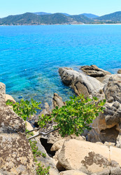 Similar image 13282579