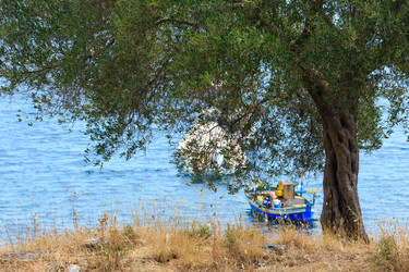 Similar image 13282045