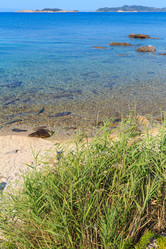 Similar image 13282121