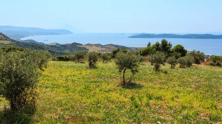 Similar image 13282161