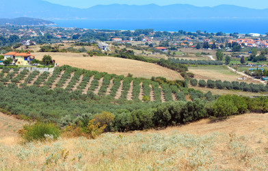 Similar image 13282623