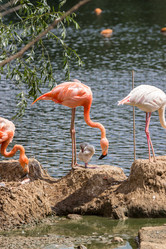 Similar image 13283394