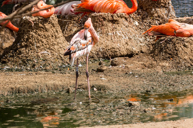 Similar image 13283395