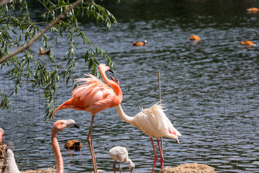 Similar image 13283398