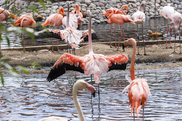 Similar image 13283400