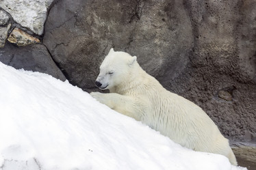 Similar image 13283406