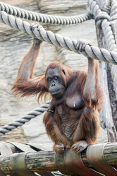 Similar image 13283408