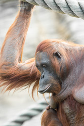 Similar image 13283419