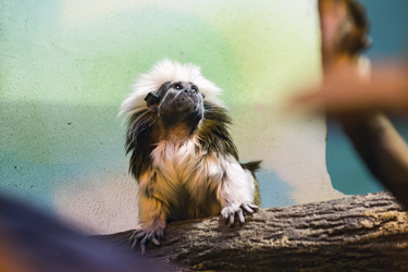 Similar image 13283428