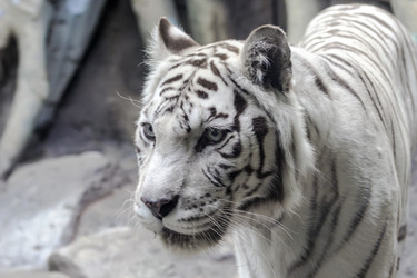 Similar image 13283447