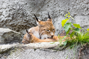 Similar image 13283412