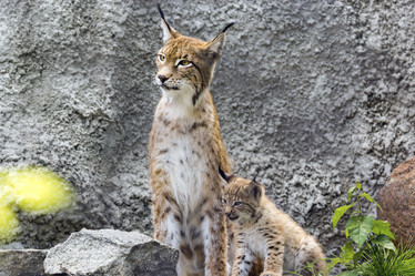 Similar image 13283434