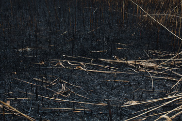 Similar image 13283133