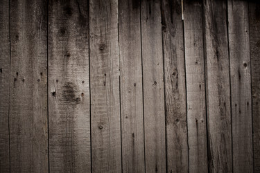 Similar image 13283144