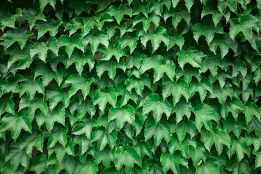 Similar image 13283146