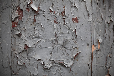 Similar image 13283147