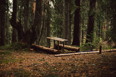 Similar image 13283159