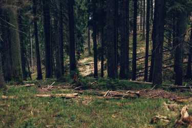 Similar image 13283160