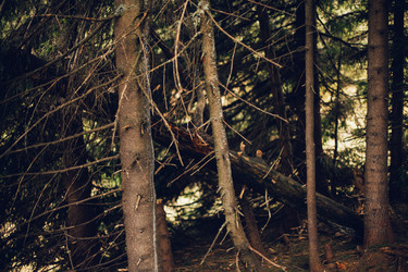 Similar image 13283163