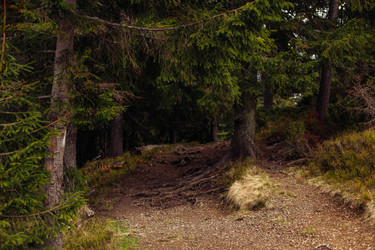 Similar image 13283165