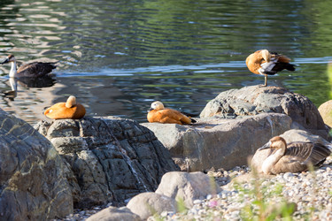 Similar image 13283438