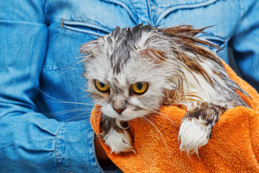 Similar image 13280898