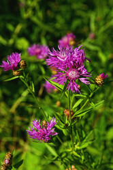 Similar image 13280941