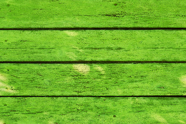 Similar image 13280879