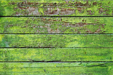 Similar image 13280882