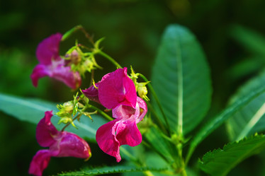 Similar image 13280883