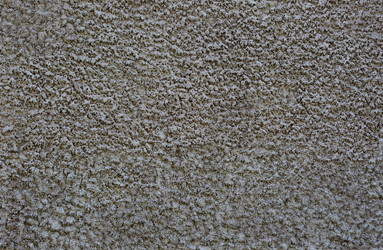 Similar image 13283152