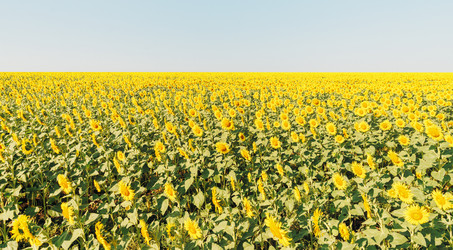 Similar image 13289455