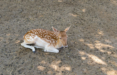 Similar image 13286016