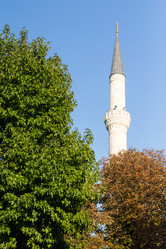 Similar image 13284527