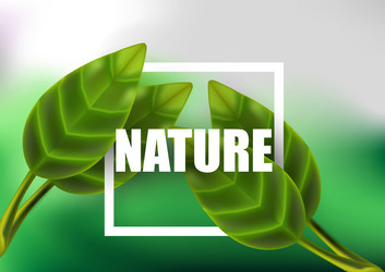 Similar image 13289273