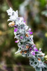 Similar image 13285045