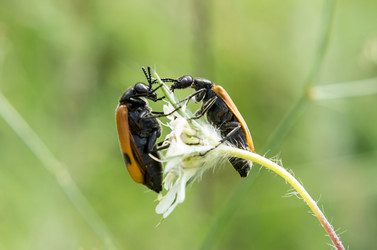 Similar image 13285123