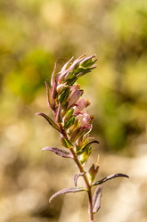 Similar image 13285224