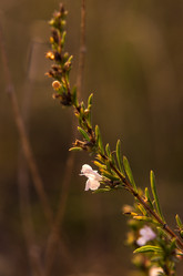 Similar image 13285299