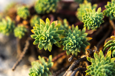 Similar image 13285328