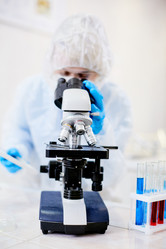 Similar image 13282478