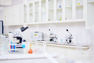 Similar image 13282483