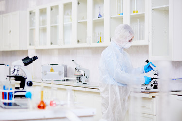 Similar image 13282484