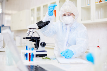 Similar image 13282486