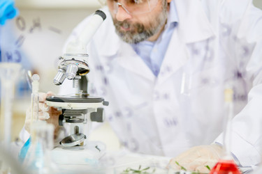 Similar image 13282494