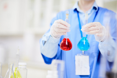 Similar image 13282507