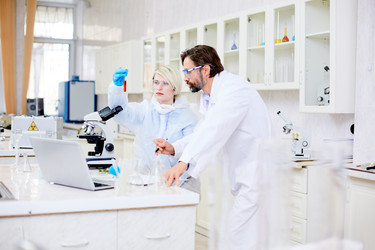 Similar image 13282508